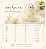 Robe pour animaux de compagnie jaune, style princesse, à volants superposés, jupe en dentelle, applique florale perlée pour petits chiens, vêtements pour animaux de compagnie avec logo personnalisé