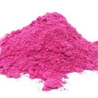 100% Natuurlijk Gedroogd Biologisch Rood Drakenfruit Poeder 100% Wateroplosbaar Bulk Roze Pitaya Poeder Fles Doos Sachet Beker