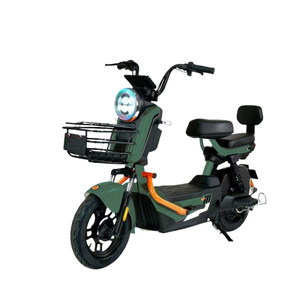 Motociclette Elettriche Portatili e Compatte per Uso Domestico - Guida Fluida ed Efficiente per Russia, Bielorussia, Kazakistan - Product Image 3