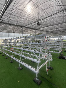 Sistema de Cultivo Hidropónico <span class=keywords><strong>NFT</strong></span> con Canales de Cultivo de PVC para Cultivo Comercial de Verduras, Pepinos y Tubos de PVC - Product Image 2