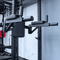 Appareil de musculation polyvalent pour soulevés de genoux, abdominaux, levées de jambes et barres parallèles, en métal robuste et durable, pour usage domestique et commercial