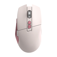 Souris de jeu sans fil USB ergonomique personnalisée de haute qualité, rechargeable, optique, double mode, pour joueurs, 4800 DPI, souris de jeu pour ordinateur