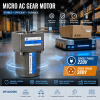 Moteur micro-engrenages AC à vitesse fixe et variable, rapport 3~300K, arbre personnalisé, faible bruit, pour emballage et convoyage, monophasé 220V
