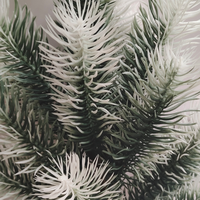 Plantes vertes artificielles PE de Noël Branches de pin Sapin de Noël pour la décoration