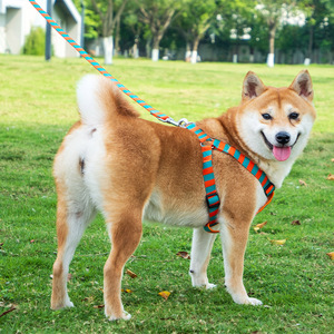 Correa de moda para mascotas estilo chaleco, ajustable, para perros pequeños y medianos, conjunto de correa para pasear perros con arnés de pecho a rayas. - Product Image 1