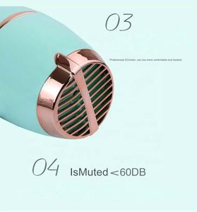 <span class=keywords><strong>Secador</strong></span> <span class=keywords><strong>de</strong></span> <span class=keywords><strong>pelo</strong></span> ligero <span class=keywords><strong>de</strong></span> secado rápido, venta al por mayor, con iónico - Product Image 3