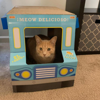 Individuelles Katzen-Spielhaus Blauer LKW Karton Katzen-Kratzbaum Spielhaus aus Pappe Katzenhaus aus Karton