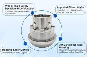 Trasduttore di Pressione GPT400 per Veicoli di Perforazione, Cementazione e Fratturazione in Campi Petroliferi, Precisione 0.5%FS, 0-1500 Bar, Acciaio Inox 304/316 - Product Image 6