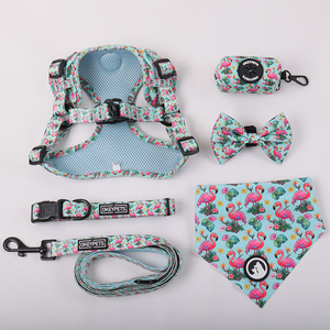 Leggero One Step in <span class=keywords><strong>Dog</strong></span> imbracatura guinzaglio produttore di Okeypets personalizzato regolabile in rete traspirante Pet fascia toracica - Product Image 5