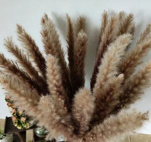 Hierba de Pampas Seca Natural Blanca y Gris para Decoración de Bodas y Navidad, Ecológica, para el Año Nuevo Chino, <span class=keywords><strong>Cortaderia</strong></span> - Product Image 4