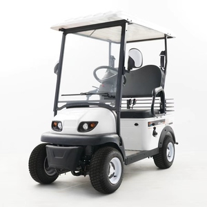 Voitures de <span class=keywords><strong>golf</strong></span> électriques miniatures attrayantes, buggy 2 places avec moteur sans balais, autonomie de 50-70 km, pour la location dans les parcs d'attractions - Product Image 1