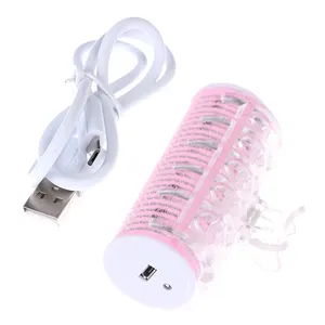 Short Style Fashionable Intelligent USB Rechargeable Korean Style Heated Air Bangs Roller Electric Hair Curler For Bangs