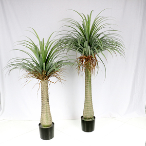 Cycas sago palma albero artificiale per la decorazione - Product Image 3
