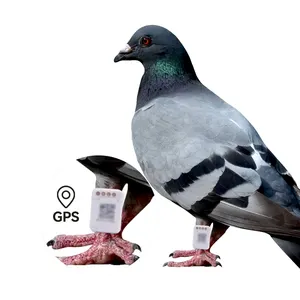 Gps para pajaros gps кольцо для отслеживания голубей мини gps трекер для попугая птиц голубь