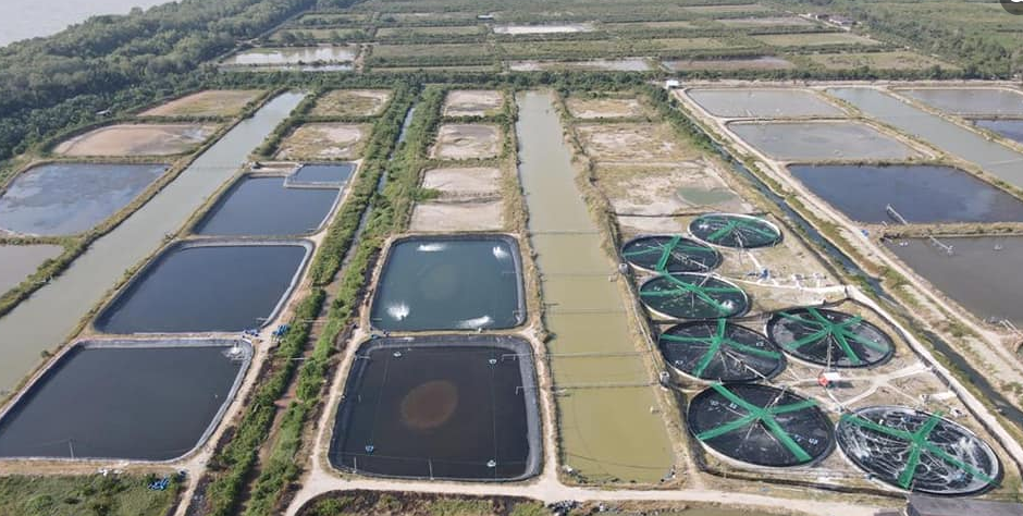 0.2mm 2mm HDPE Geomembrane Dam Reservoir 100m Per Roll Within 12m Width