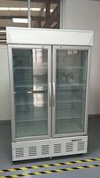Vitrine réfrigérée verticale à double porte pour supermarché, idéale pour la vente de viande préemballée