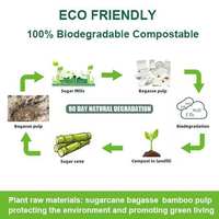 Boîte à lunch compostable en bagasse avec couvercle, boîte bento jetable à 2 compartiments, écologique, biodégradable, recyclable, récipient alimentaire