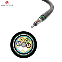 Câble à fibre optique GYTA53 résistant aux rats et étanche, pour extérieur, enterré, 24/48/96 cœurs, gaine PE, monomode G652D, double