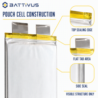Batterie LiPo polymère au lithium BATTIVUS 3.7V 5000mAh 25C à décharge élevée pour pack de batterie d'outil électrique OEM