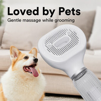 Aspirateur de toilettage pour animaux de compagnie à aspiration réglable, peignage et aspiration des poils en un seul geste pour animaux à poils longs et courts, vente en gros pour les animaleries