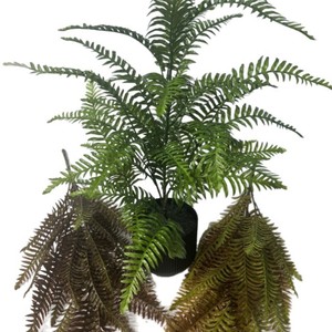 Helecho Imperador en Maceta Greenway de 70 cm, Planta Artificial con Hojas Verdes, Decoración de Interiores, Estilo Rústico, Estilo Natural - Product Image 1