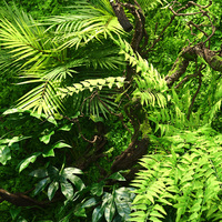 Décoration intérieure, système de plantes vertes verticales 3D, feuillage artificiel en plastique, plantes artificielles suspendues, panneau mural