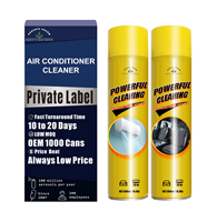 Spray nettoyant pour unité AC pour conduit, filtre et évent professionnels, neutralisant d'odeur en 30 secondes pour la maison/voiture AC