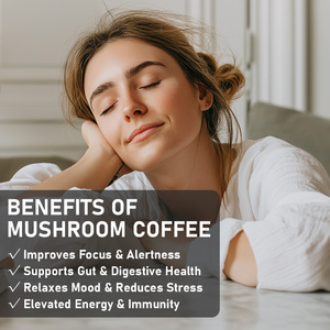 Private Label Mushroom Coffee Powder with Reishi Lion's Mane Supports Digestive Health Herbal <b>Supplement</b> Coffee - Product Image 4