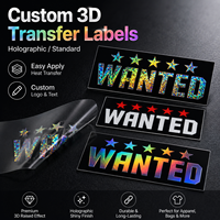 Autocollants 3D personnalisés en vinyle imperméable à transfert thermique, étiquettes holographiques thermocollantes pour vêtements, t-shirts, sweats, sacs, chapeaux, logo en relief DIY