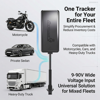 Pelacak GPS Mobil PG-09 4G, Pelacakan Kendaraan Real Time dengan Kontrol Jarak Jauh PC Android IOS untuk Sepeda Motor dan E-bike