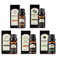 Coffret Cadeau d'Huiles Aromatiques 10ml Marque Blanche – Lot de 6 Huiles Parfumées Personnalisées pour Diffuseur et Massage Corporel – Vente en Gros