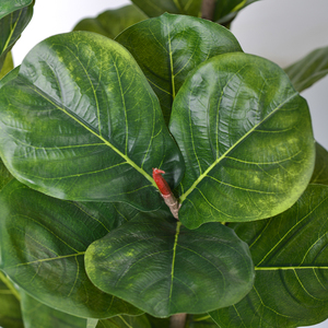 Factory Wholesale Faux Fiddle Leaf <strong>Fig</strong> Tree Nearly Natural <strong>Artificial</strong> <strong>Plants</strong> for Indoor Home Decoration - Product Image 6