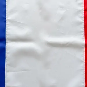 Luxe Borduurwerk Genaaid Polyester Franse Vlag Banner Met Messing Grommet Geborduurde Nylon Vlag Van Frankrijk