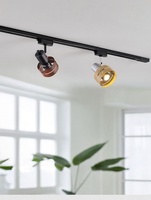 Spot COB Industriel Vintage LOFT avec Garniture en Fer, Design Creux, Lampe sur Rail Orientable pour Magasin Commercial, Bar, Intérieur