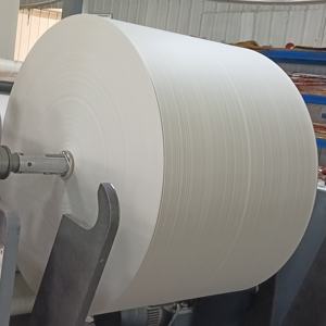 PE Coated Double-Sided <b>Paper</b> <b>Rolls</b> for <b>Paper</b> Cups 100% Environmentally Friendly Wood Pulp Food Grade Waterproof Recyclable - Product Image 2