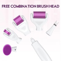 Système de dermaroller multifonction 6 en 1 DRS, 4 têtes de rouleau en titane, brosse nettoyante en silicone avec étui de rangement rigide, pour la maison