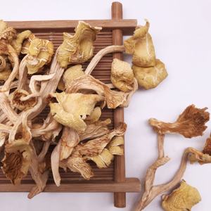 Оптовые поставки высококачественных натуральных сушеных желтых грибов лисичек (Cantarillus cibarius), необработанных, для промышленной переработки (AD) - Product Image 1