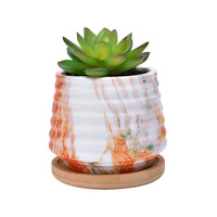 Petits pots en céramique pour plantes, fleurs, succulentes et cactus, décoration de jardin personnalisée
