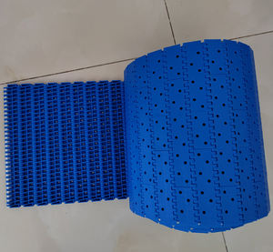 Plastic Gaasband Modulaire Transportband Voor Het Reinigen Van Droogvriezer - Product Image 4