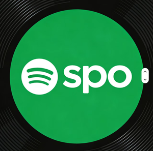 Logiciel de musique Spotif Y P, abonnement d'un an, activation rapide du compte - Product Image 1