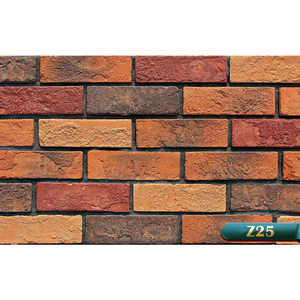 Briques de <span class=keywords><strong>parement</strong></span> en ciment BERICH Z08, briques fines, briques de <span class=keywords><strong>parement</strong></span> anciennes, en promotion - Product Image 3