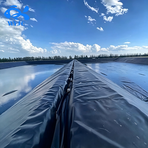 Géomembrane antioxydante en HDPE, membrane imperméable pour les bassins de traitement des eaux usées, les digesteurs de biogaz, les fermes piscicoles, les lacs artificiels - Product Image 5