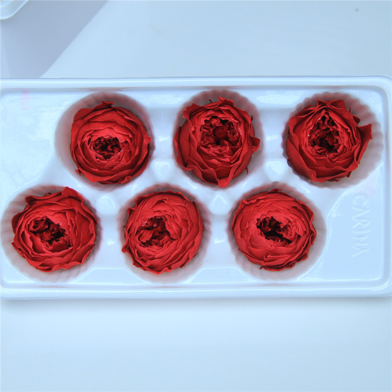Cabeza de rosa Austin roja de 5-6 cm