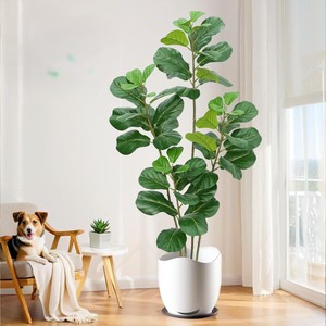 Planta Artificial de Ficus Pandurata en Maceta, Venta al por Mayor de Fábrica, Alta Simulación, Árbol de Higuera de Hoja de Violín Artificial, Bonsái para Decoración - Product Image 1
