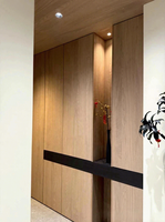 Meuble d'entrée minimaliste pleine hauteur avec compartiments ouverts et éclairage LED
