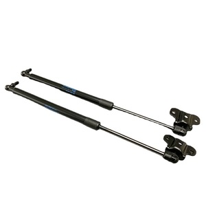 Soportes para Puertas Long Xiang, Varillas de Resorte de Gas de Acero Aleado, Varios Tamaños, Múltiples Usos - Product Image 2