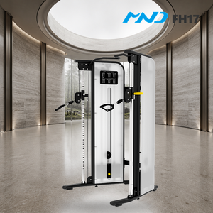 Système d'entraînement fonctionnel tendance, équipement de gym MND Fitness, équipement de musculation pour les hôtels de luxe et les salles de sport commerciales - Product Image 1