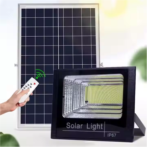 야외 지능형 유도 태양 광 가로등 25W 40W 60W 100W 200W 자동 충전 LED 태양 광 홍수 조명 - Product Image 1