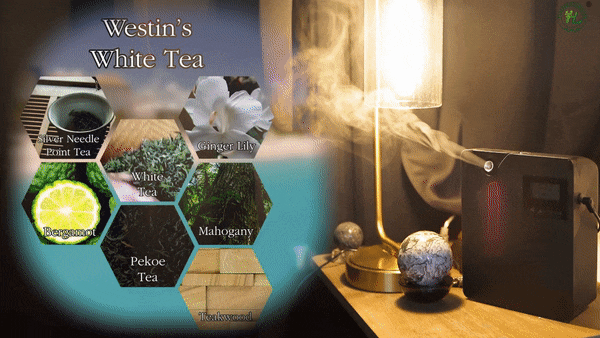 Westin Hotel Scent Inspired Duftöl-Hoch konzentriertes ätherisches