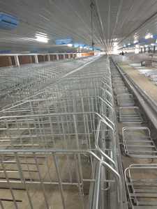 กรงใส่สัตว์สำหรับการตั้งครรภ์ที่มีที่ออกแบบมาสำหรับหมูท้องแต่ละตัว - Product Image 3